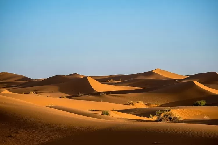 Eksplorasi Keindahan dan Keanekaragaman Bagian Wilayah Arab